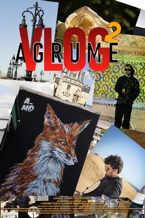 Image Agrume Vlog