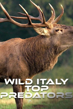 Italia Salvaje: Los Grandes Depredadores