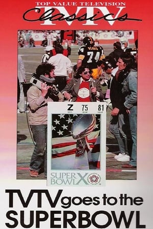 Super Bowl 1976