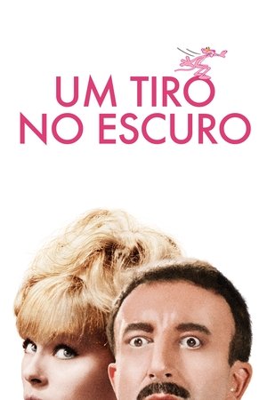 Assistir Um Tiro no Escuro Online Grátis