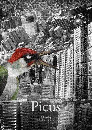 Picus