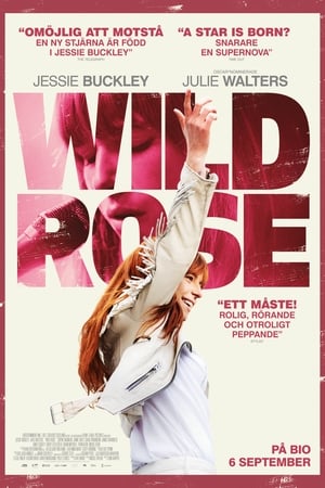 Poster Wild Rose 2019