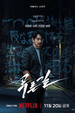 Limited Series poster