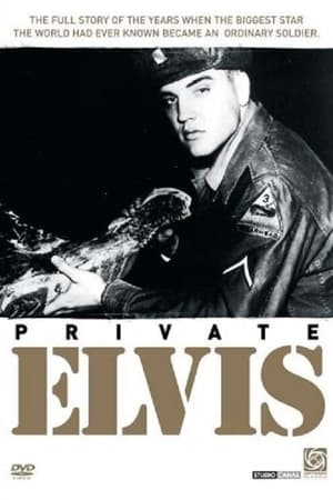 Poster Private Elvis 1993