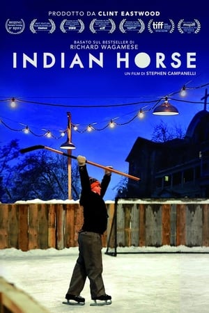 Poster Indian Horse 2018