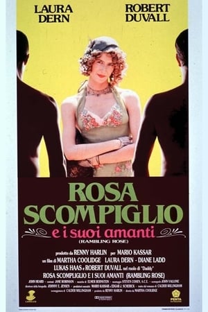 Poster Rosa scompiglio e i suoi amanti 1991