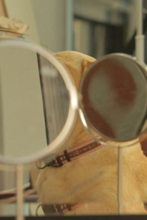 Nonton film Bone (2015) terbaru sub indo Nonton film Bone (2015) terbaru sub indo