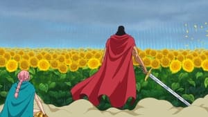 One Piece: Season 17 Episode 696