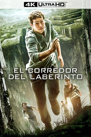 poster The Maze Runner