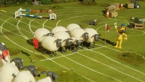 La course d'obstacles !