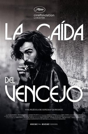 Image La caída del vencejo