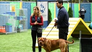 Turner & Hooch Season 1 Episode 1