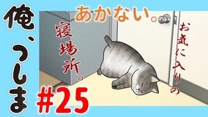 WEB Animation - #25 It doesn't open