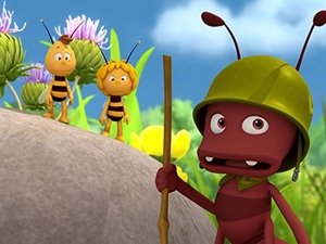 Maya the Bee Maya to the Rescue