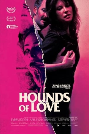 Image Hounds of Love