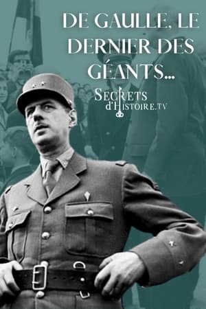 Poster De Gaulle, le dernier des géants 2014