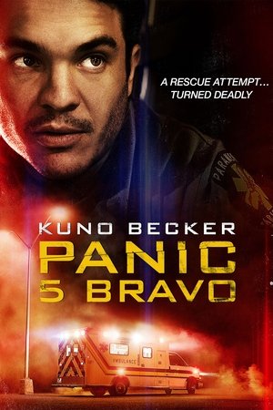 Poster Pánico 5 Bravo 2013