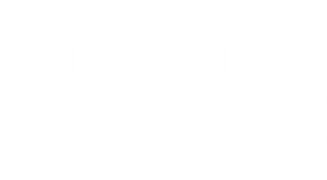 Star Wars : Le Réveil de la Force — logo
