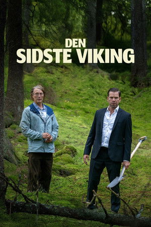  The Last Viking affiche 