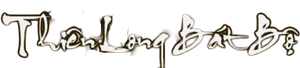 Ảnh 25