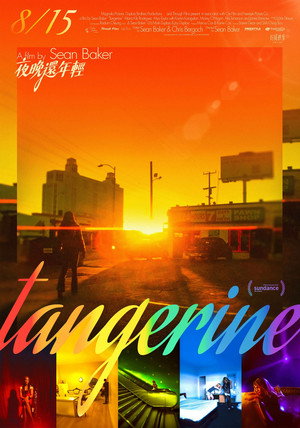 Tangerine 51