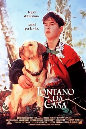 Poster Lontano da casa 1995