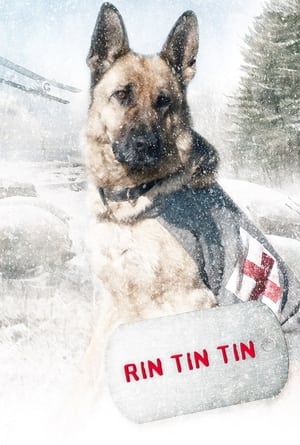 Poster Rin Tin Tin 2007