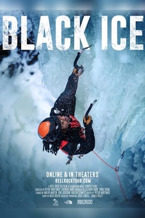 Poster Black Ice (2020)