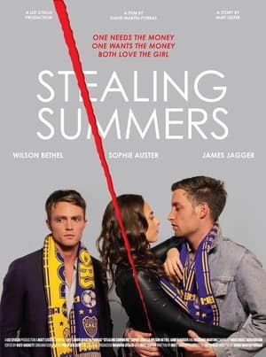 Poster Stealing Summers (2011)