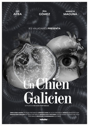 Un chien galicien
