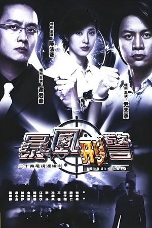 暴風型警