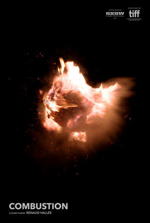 Combustion