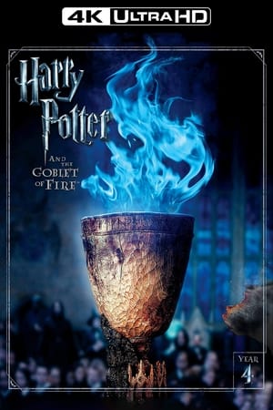 poster Harry Potter and the Goblet of Fire