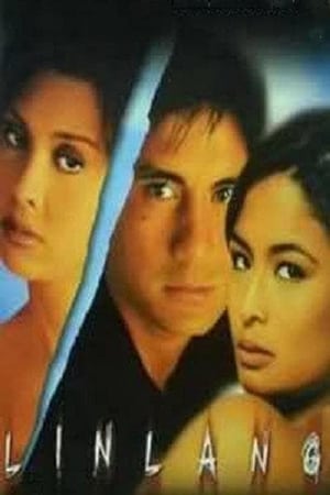 Poster Linlang (1999)