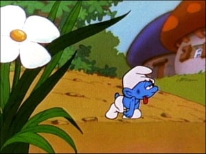 The Smurfs: 6×6