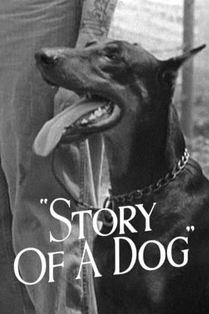 Poster Story of a Dog 1945