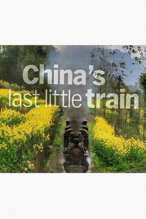 Poster China's Last Little Train (2014)