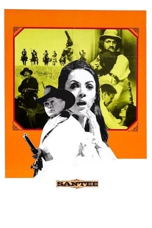 Poster Santee (1973)