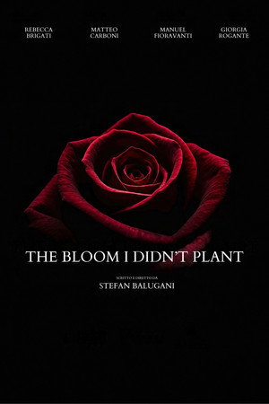 The Bloom I Didn't Plant