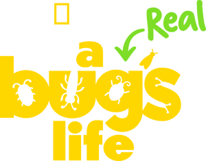 /5cPRv4oHlQN7EvvmW3u9UeZYuhX.png