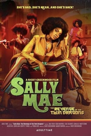 Poster Sally Mae: The Revenge Of The Twin Dragons (2022)