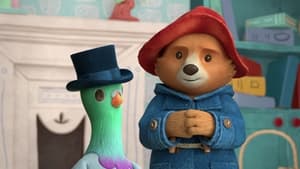 The Adventures of Paddington Paddington Finds a Pigeon