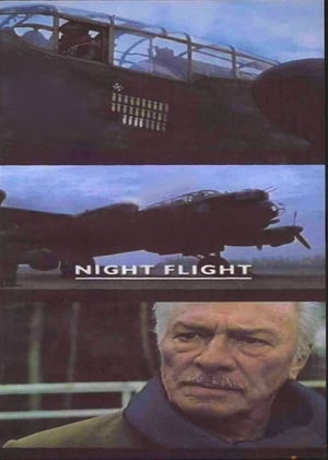 Night Flight poster