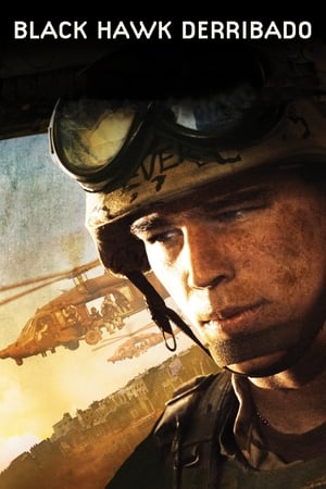 Poster Black Hawk derribado 2001