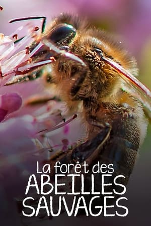 Image La Forêt des abeilles sauvages