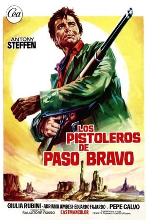 Poster Le pistolero de Paso Bravo 1968