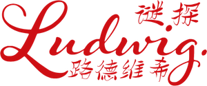 Ludwig — Logos 3