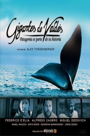 Poster Gigantes de Valdés 2008