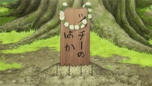 Special 5: Farewell Tsucchi