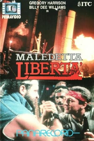 Image Maledetta libertà